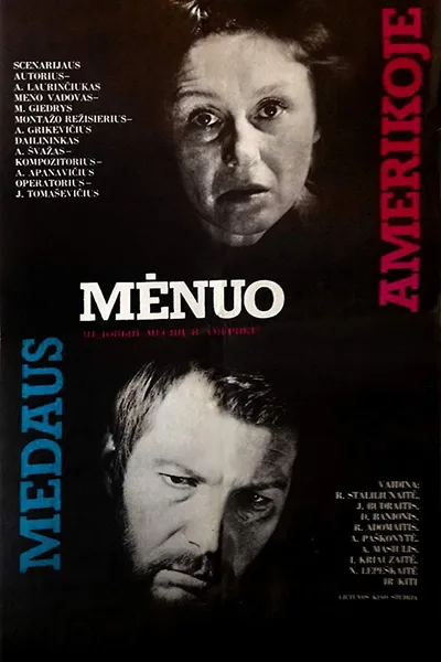 Honeymoon in America