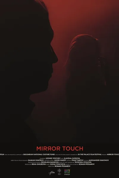 Mirror Touch