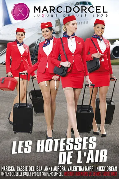 The Flight Attendants