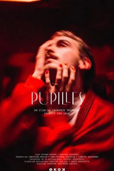 Pupilles