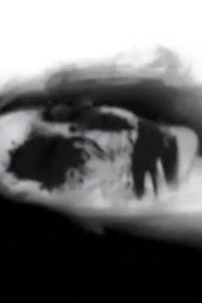 Cinderella Valentine