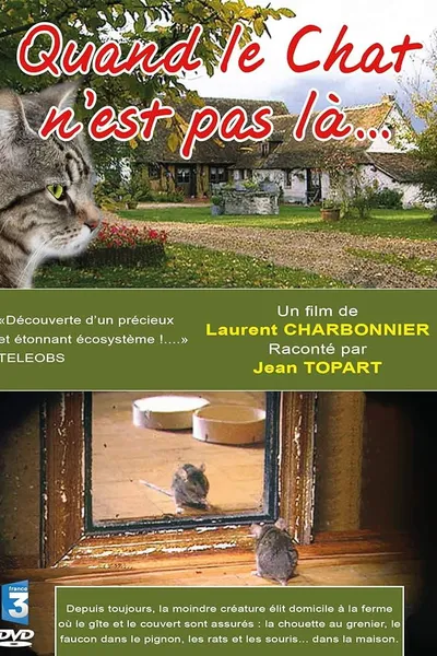 Quand le Chat n'est pas là…