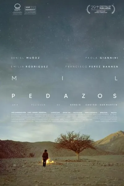 Mil pedazos