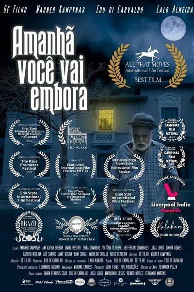 Amanhã você vai embora