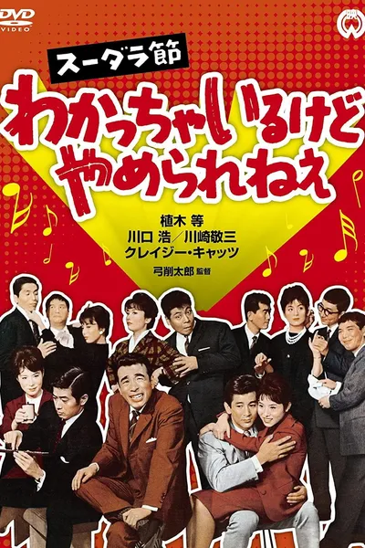 Sudara Festival: I Understand, but I can't Stop