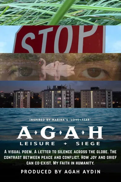 Leisure + Siege
