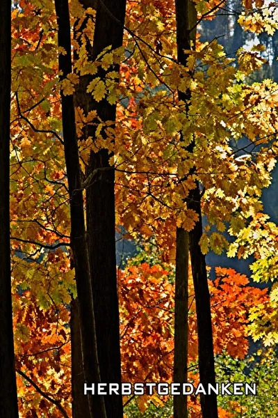 Herbstgedanken