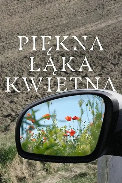 A Beautiful Wildflower Meadow