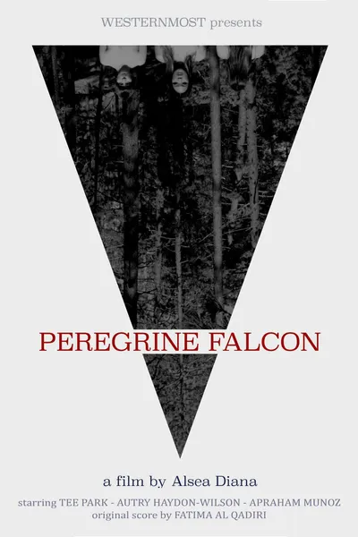 Peregrine Falcon