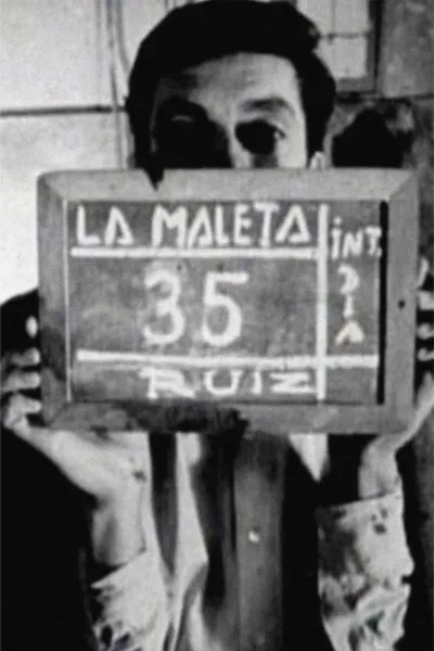 The Suitcase