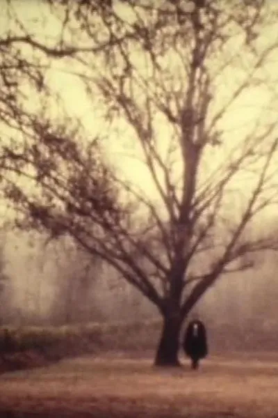 D. Jaime or the Portuguese Night