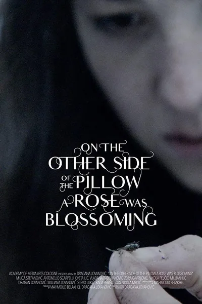 On the Other Side of the Pillow a Rose Was Blossoming