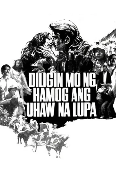 Diligin mo ng Hamog ang Uhaw na Lupa