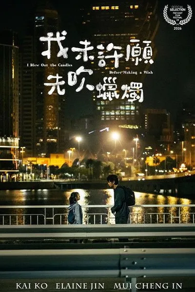 I Blew Out the Candles Before Making a Wish