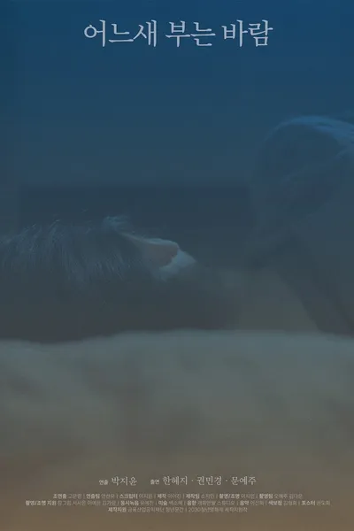 The Consolation of the Wind