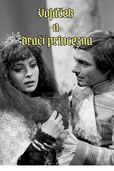 Vojáček a dračí princezna