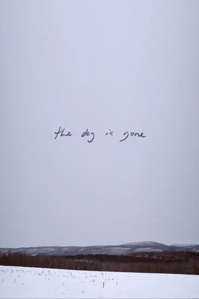 The Dog Is Gone