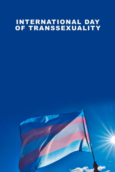 International Day of Transsexuality