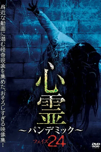 Spirit Pandemic Phase 24