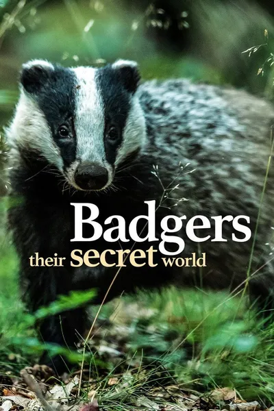 Badgers: Their Secret World