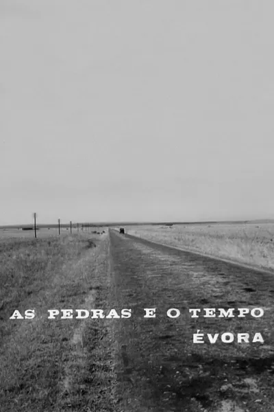 As Pedras e o Tempo