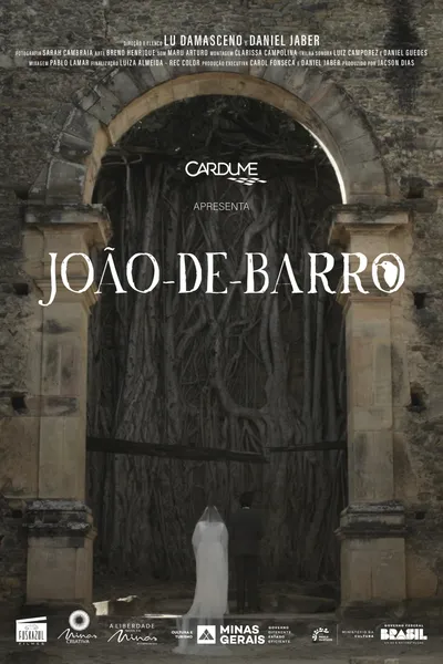João-de-Barro