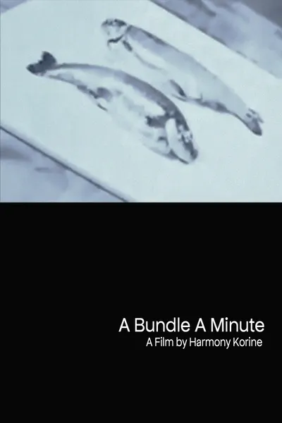 A Bundle A Minute