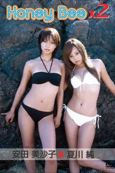 Honey Bee×2