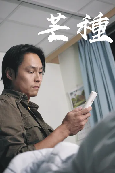 Contrasts In Daily Life