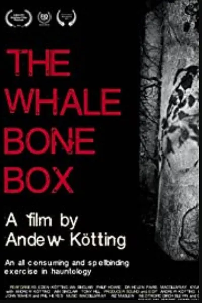 The Whalebone Box