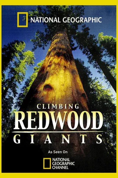 Climbing Redwood Giants
