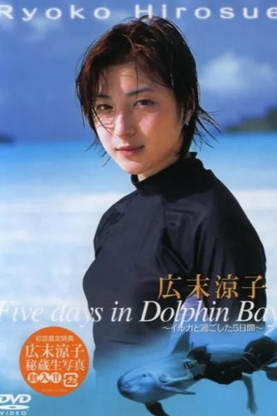 Five days in Dolphin Bay