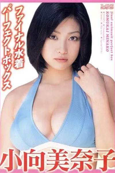 小向美奈子 ファイナル水着パーフェクトBOX