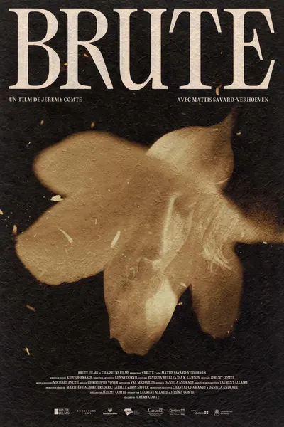 Brute