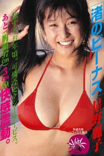 渚のビーナス 星野麗子