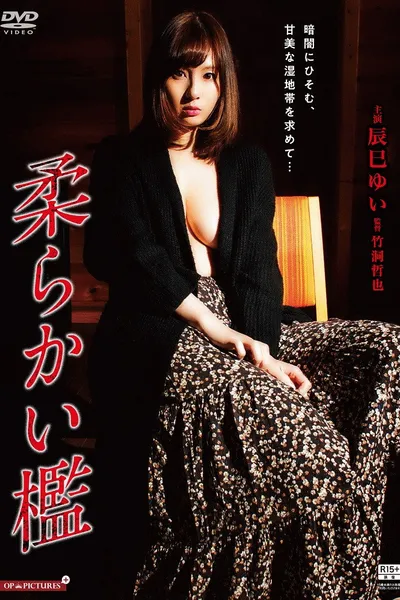 Gishin rankô: Yamiyo ni ugomeku mesu shiri