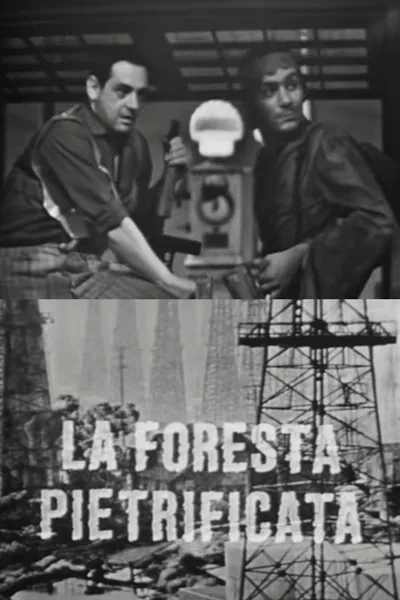 La foresta pietrificata