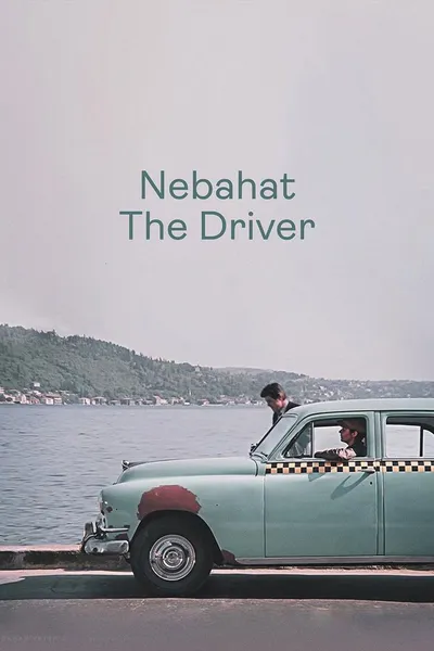 Nebahat The Driver