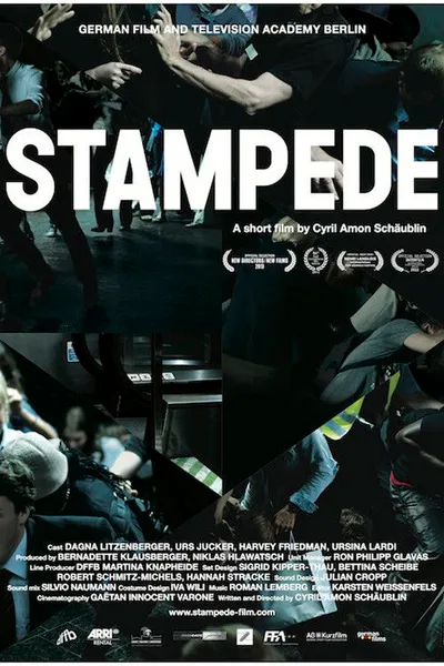 Stampede