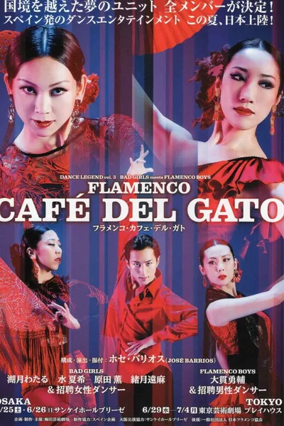 Flamenco Cafe Del Gato