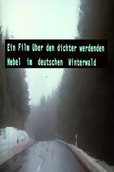 Ein Film über den dichter werdenden Nebel im deutschen Winterwald