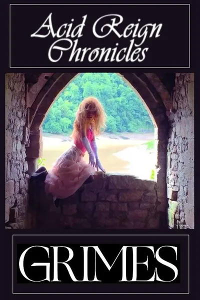 The AC!D Reign Chronicles: The War of Art