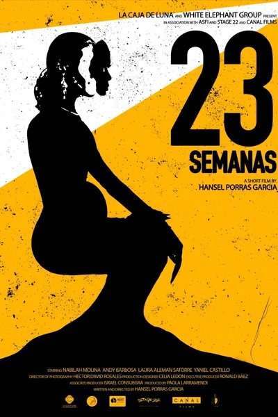 23 Semanas