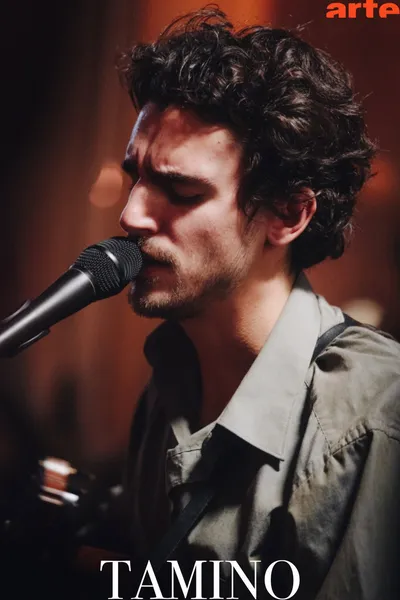 Tamino Private Session