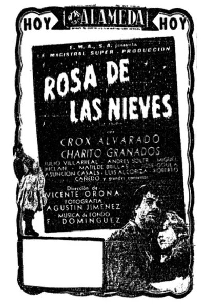 Rosa de las nieves