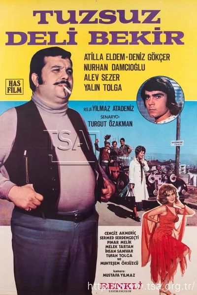 Tuzsuz Deli Bekir