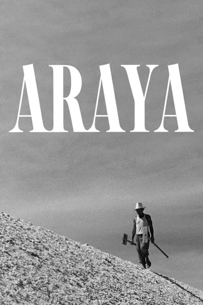 Araya