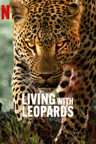 Living with Leopards