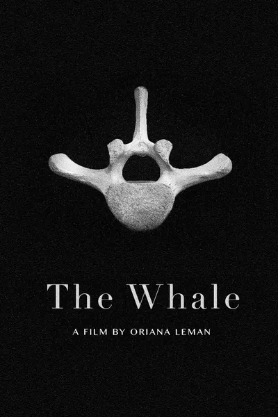 The Whale