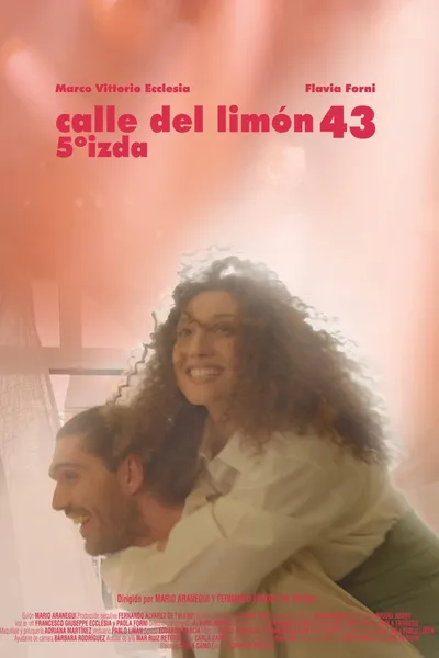 Calle del Limón 43, 5º izda